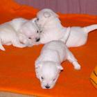 09_miot_n_022.jpg