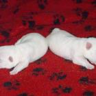 09_miot_n_003.jpg