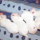 09_miot_n_006.jpg