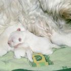 09_miot_n_008.jpg