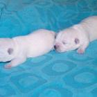 09_miot_n_012.jpg
